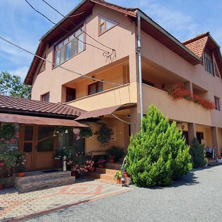 Pensiunea Apuseni Vidra  Exterior foto