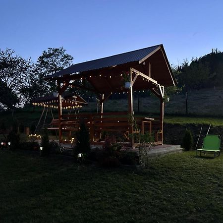Pensiunea Apuseni Vidra  Exterior foto