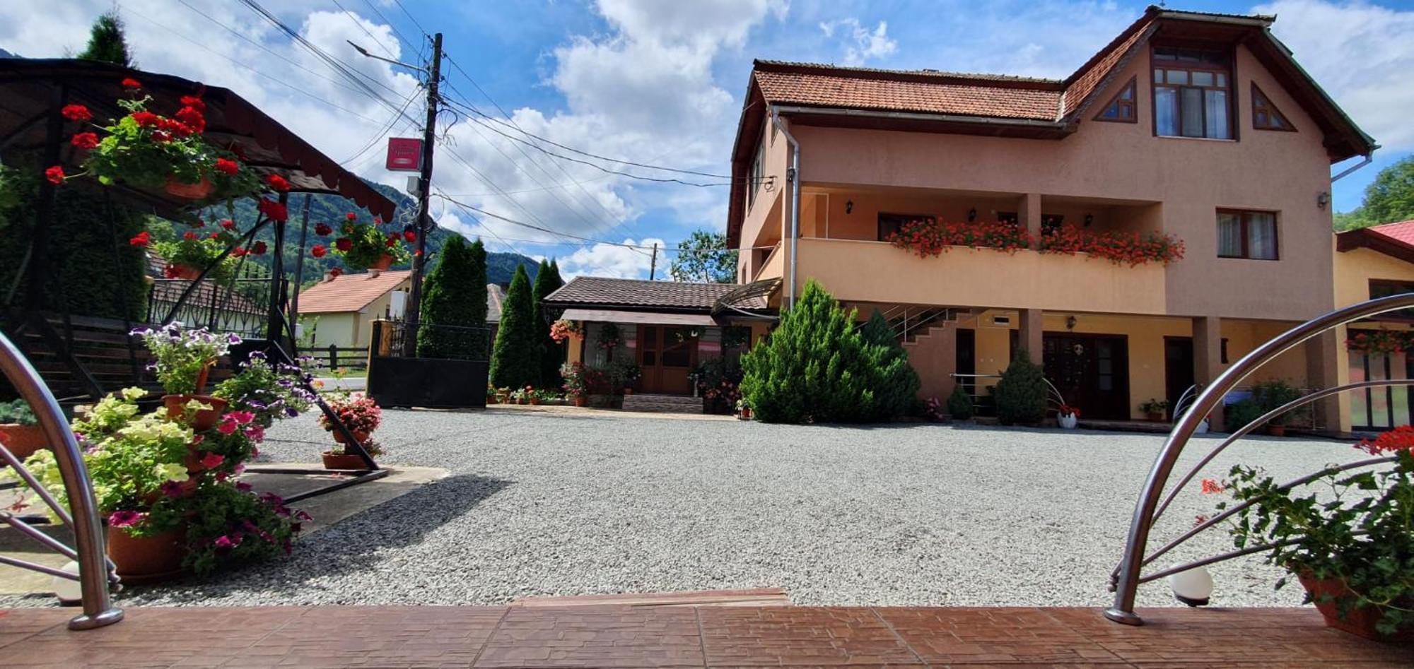 Pensiunea Apuseni Vidra  Exterior foto