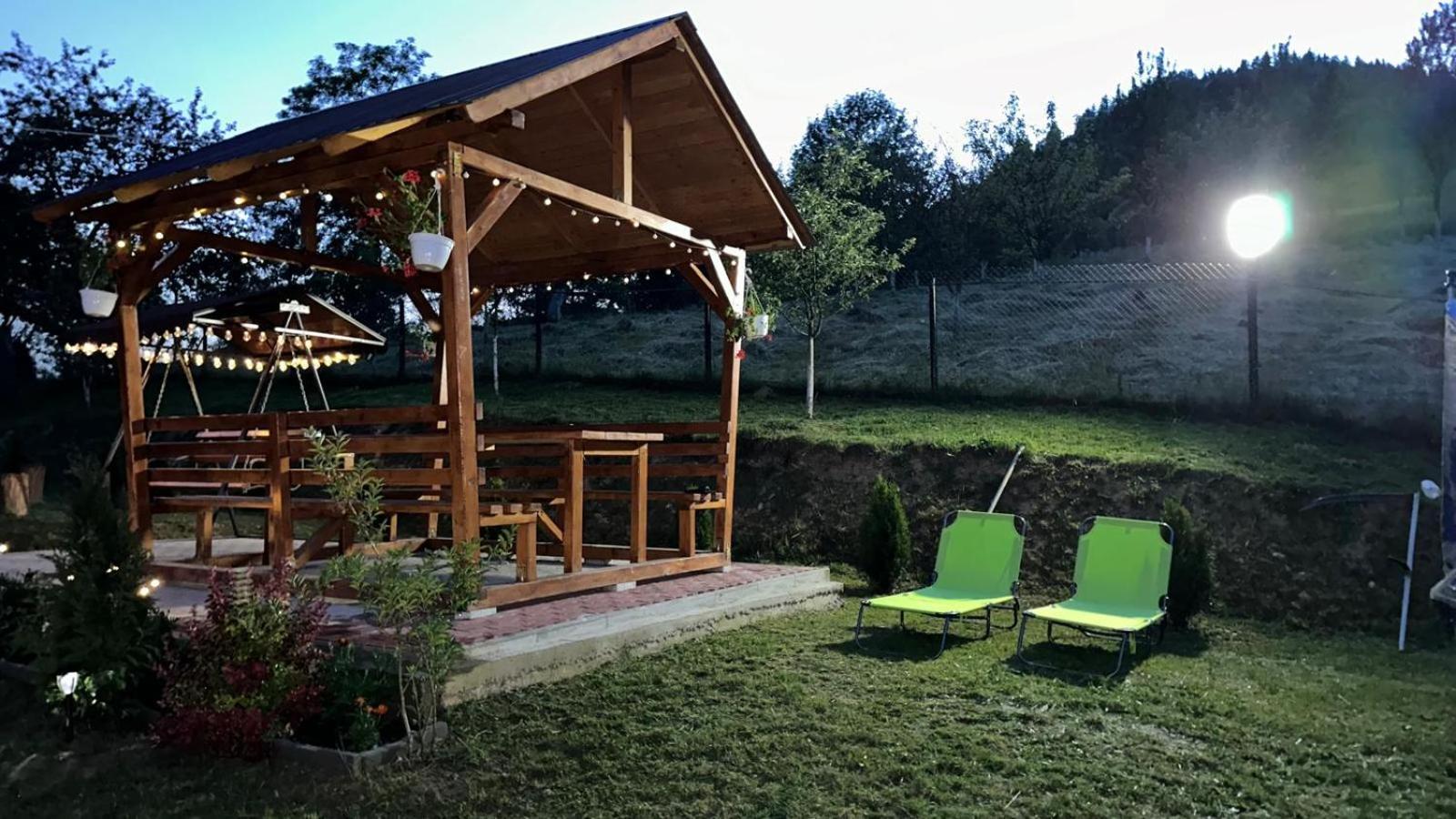 Pensiunea Apuseni Vidra  Exterior foto