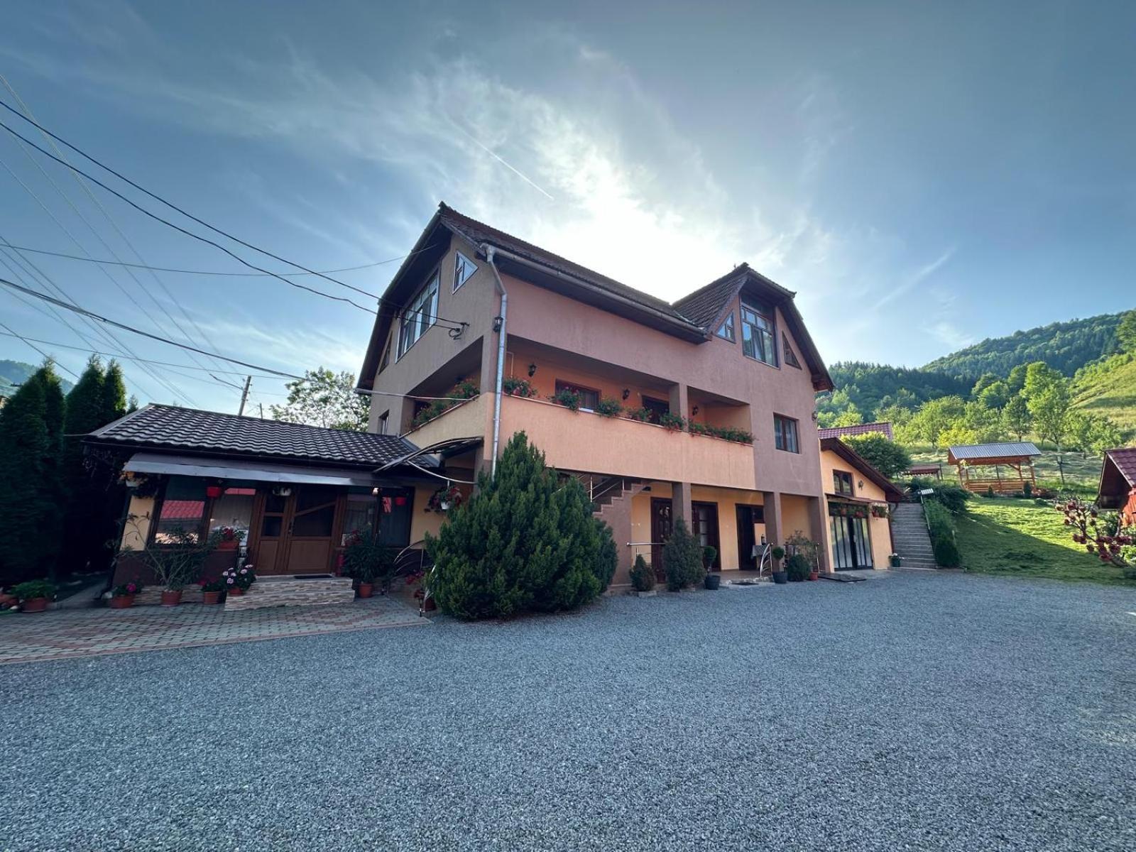 Pensiunea Apuseni Vidra  Exterior foto